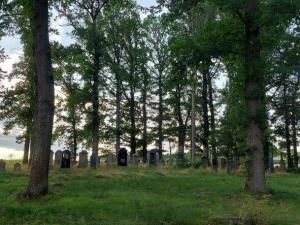 Friedhof Muehlhausen 3 kleiner