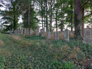 Friedhof Muehlhausen 4 kleiner